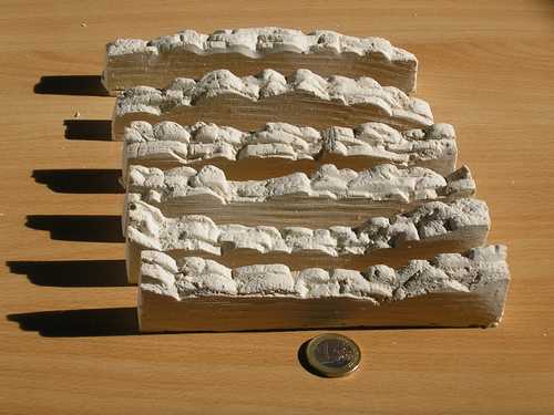 Les 6 rochers du moule 821014